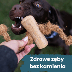 Naturalna zabawka z włókna kokosowego i kawowca